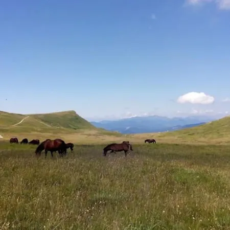 Granchalet Sul Cimone 212 * מונטקרטו