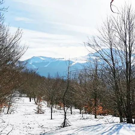 Granchalet Sul Cimone 212