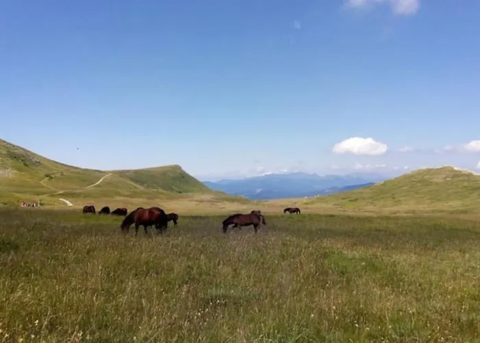 Granchalet Sul Cimone 212 * מונטקרטו