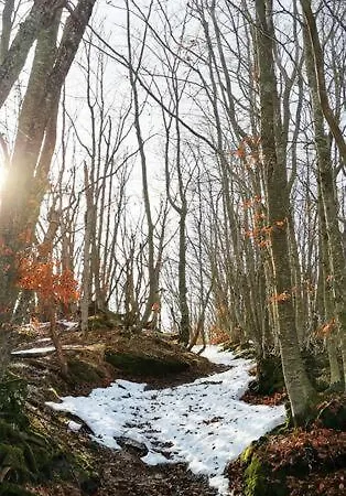 Granchalet Sul Cimone 212 Apartamento Montecreto