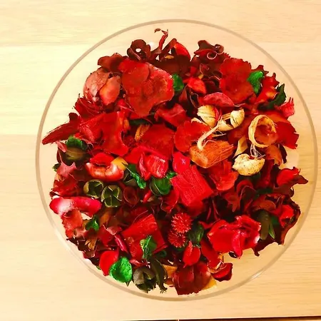 Granchalet Sul Cimone 212 Apartamento *