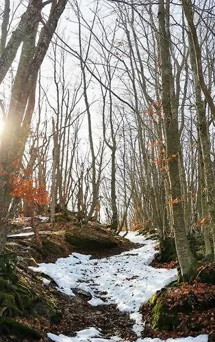 Granchalet Sul Cimone 212 Apartamento Montecreto