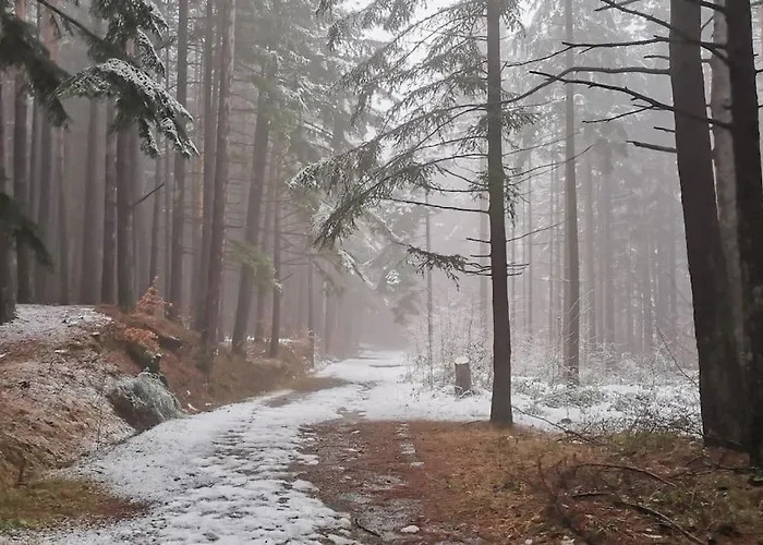 Lägenhet Granchalet Sul Cimone 212