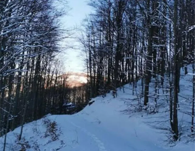 Lägenhet Granchalet Sul Cimone 212 *